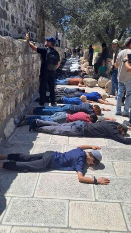 مستوطنون يؤدون سجودا جماعيا في الأقصى - من منصات التواصل