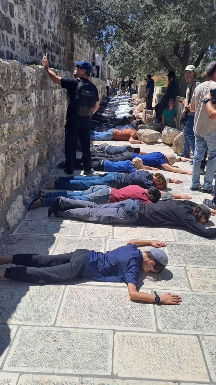 مستوطنون يؤدون سجودا جماعيا في الأقصى - من منصات التواصل