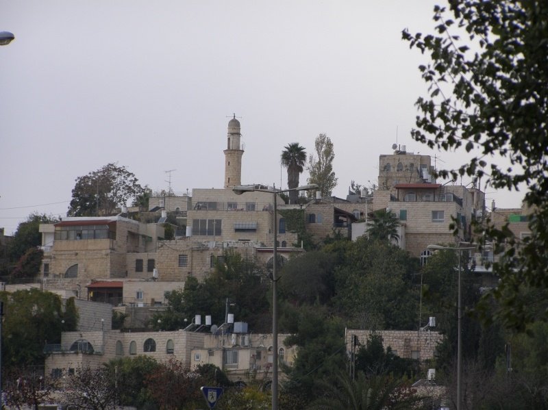 قرية المالحة المهجرة