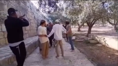 مستوطنون يرقصون في الجهة الشرقية من المسجد الأقصى أثناء اقتحامه - تشرين الثاني 2025